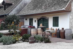 Cerca de Budapest: Cata de vinos en una pequeña y acogedora bodega familiar