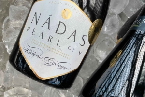 Cerca de Budapest: Cata de vinos en una pequeña y acogedora bodega familiar