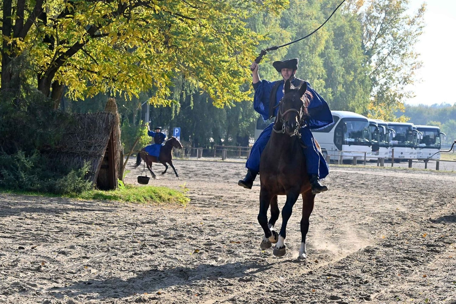 Maatila, hevosnäytös ja lounas