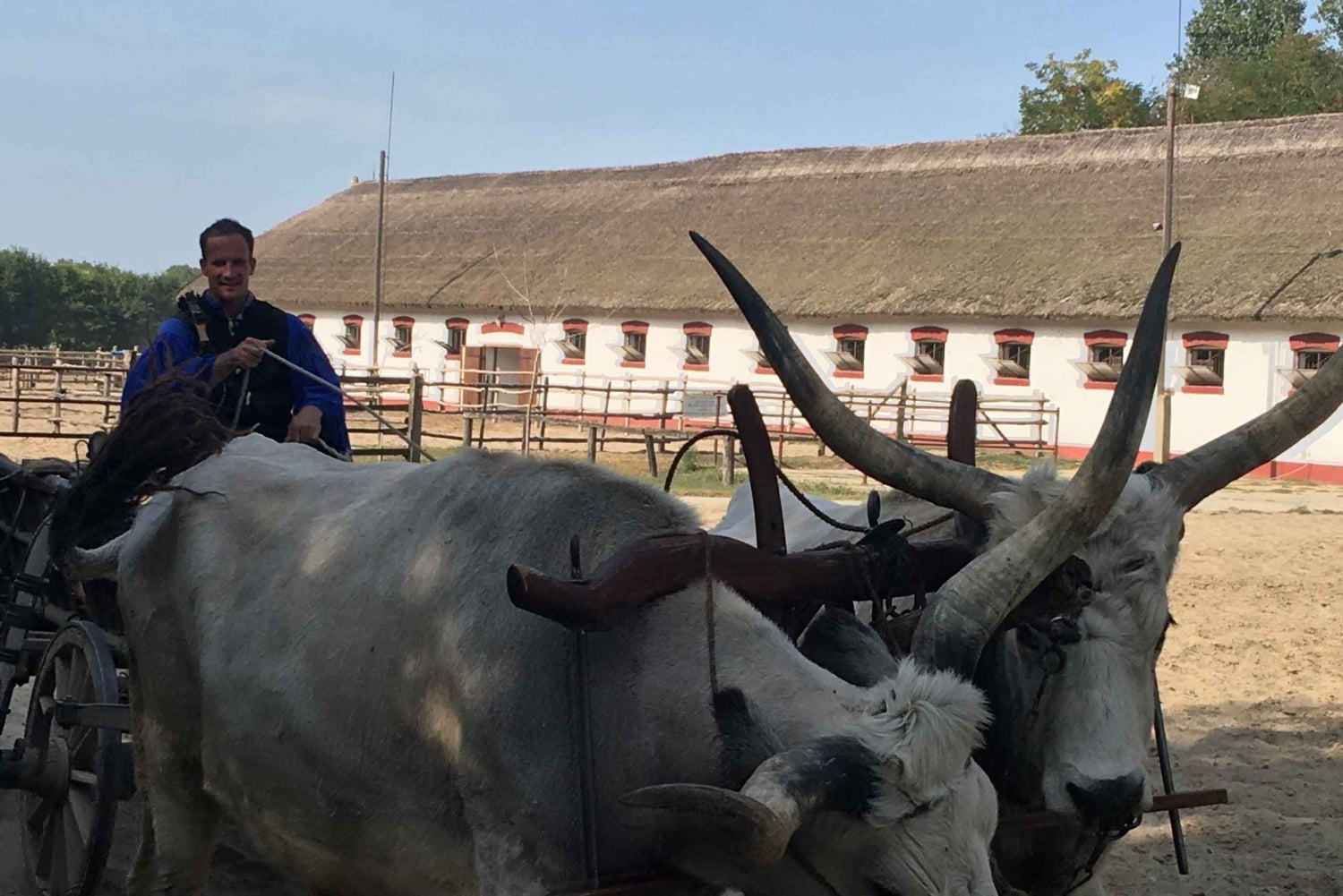 Maatila, hevosnäytös ja lounas