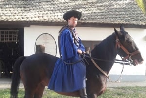 Maatila, hevosnäytös ja lounas