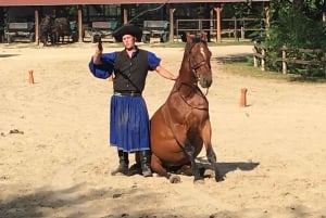 Maatila, hevosnäytös ja lounas