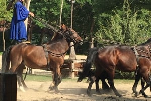 Maatila, hevosnäytös ja lounas