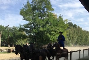 Maatila, hevosnäytös ja lounas