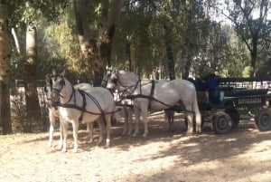 Maatila, hevosnäytös ja lounas