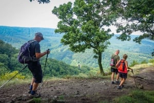 Danube Bend: Full-Day Hiking Tour from Budapest