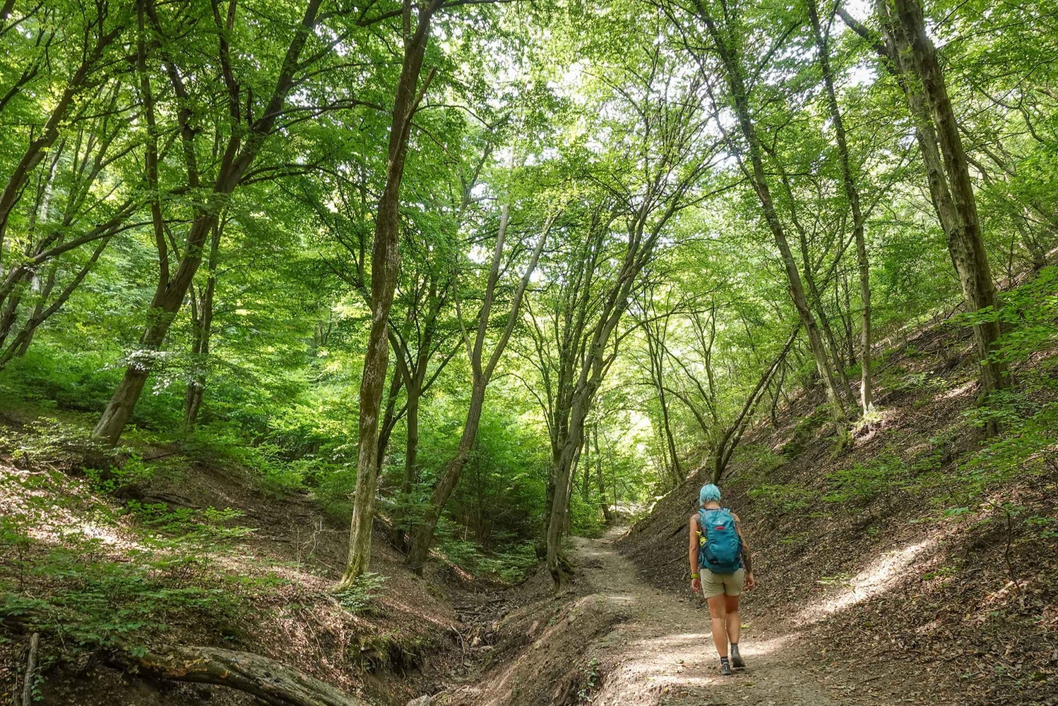 ドナウベンドハイキングとカヤックアドベンチャー