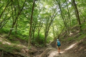 ドナウベンドハイキングとカヤックアドベンチャー
