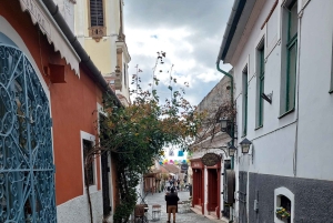 ドナウ川のカーブ：ブダペストからの8時間のプライベートフルボードツアーをお楽しみください