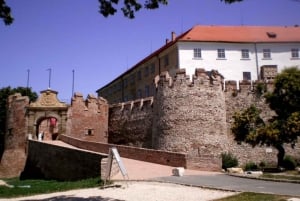 Day Tour of Pécs and Siklós with Villány Wine Tasting