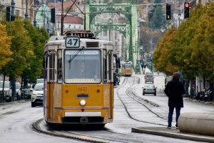Discover Budapest by Retro Tram: Synagogue, Parliament