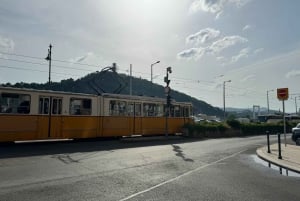 Een kennismaking met Boedapest, te voet en met de tram.