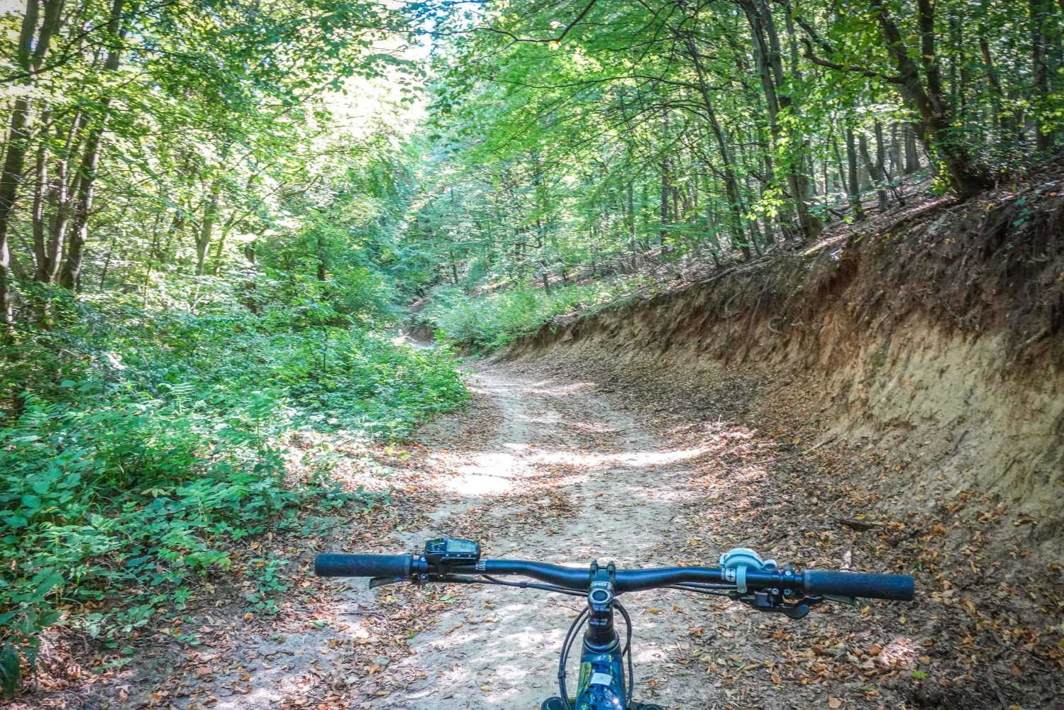 E-Mountainbike-äventyr i Donaubäckenet