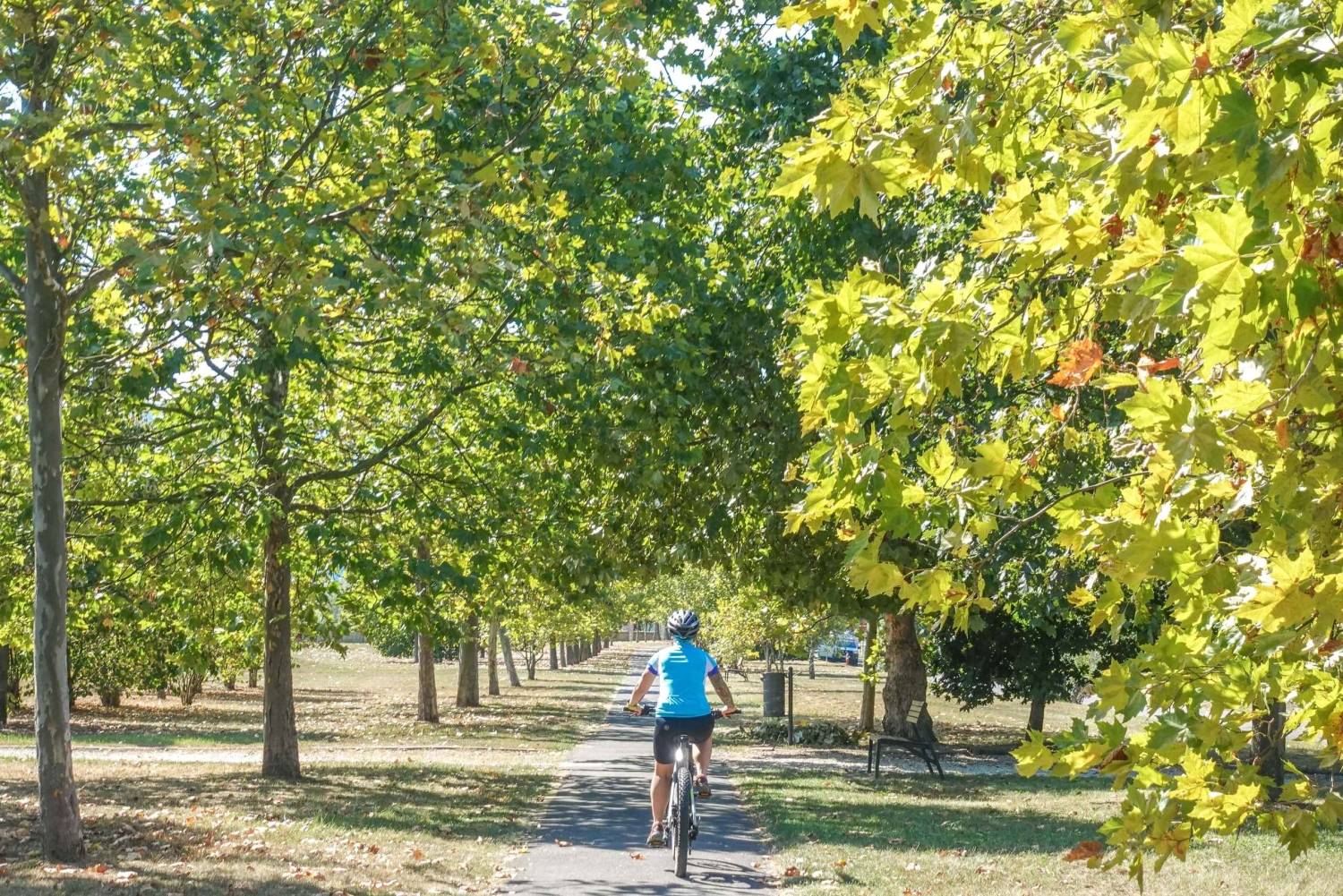 E-Mountainbike-äventyr i Donaubäckenet