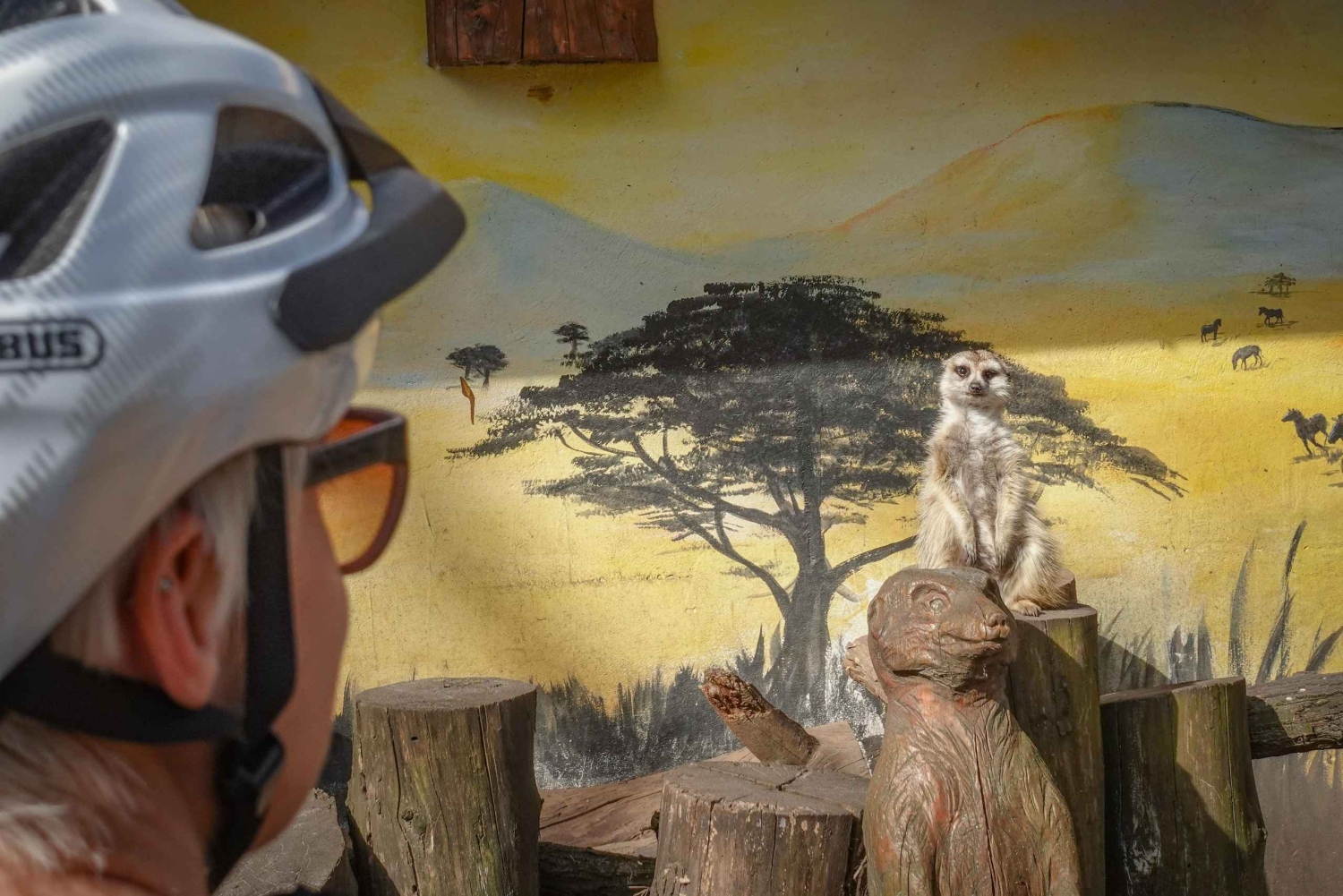 E-Mountainbike-äventyr i Donaubäckenet