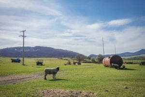 E-Mountain Bike Adventure in the Danube Bend