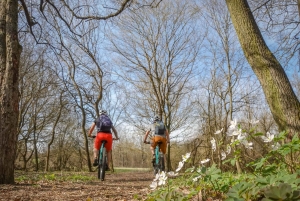 E-Mountainbike-äventyr i Donaubäckenet