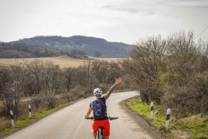 E-Mountainbike-äventyr i Donaubäckenet