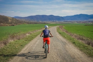 E-Mountainbike-äventyr i Donaubäckenet