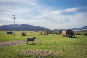 E-Mountainbike-äventyr i Donaubäckenet