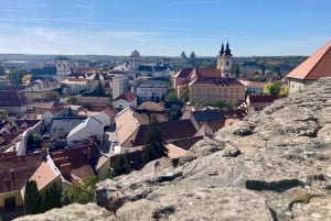 Eger: Landsbygd, kultur och vin Privat tur