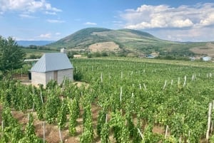 Eger: Landsbygd, kultur och vin Privat tur