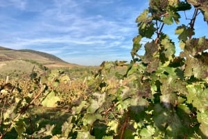 Eger: Landsbygd, kultur och vin Privat tur