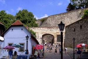 Eger, home to Bull's Bood, a private tour with winetaste