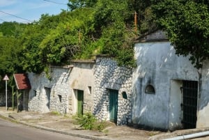 Eger, home to Bull's Bood, a private tour with winetaste