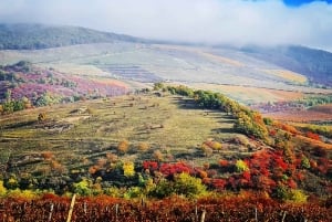 Eger, home to Bull's Bood, a private tour with winetaste