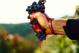 Eger, home to Bull's Bood, a private tour with winetaste