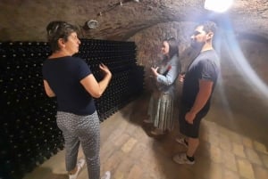 Eger, home to Bull's Bood, a private tour with winetaste