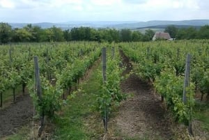 Excursão privada de 4 horas pela aldeia de Etyek com vista para o vinho a partir de Budapeste