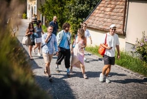 Budapestista: 3 perheomisteisen viinitilan kierros maistajaisilla ja aterioilla