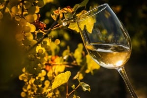 Budapestista: 3 perheomisteisen viinitilan kierros maistajaisilla ja aterioilla