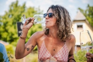 Budapestista: 3 perheomisteisen viinitilan kierros maistajaisilla ja aterioilla