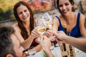 Desde Budapest: tour por 3 bodegas familiares con catas y comida.