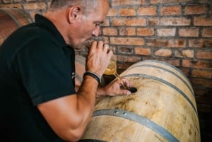 Desde Budapest: tour por 3 bodegas familiares con catas y comida.