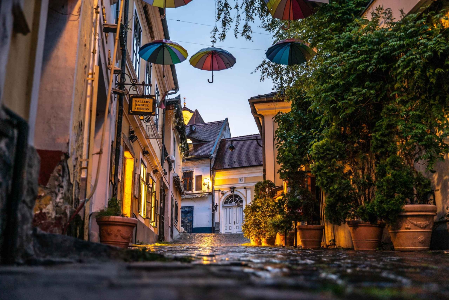 From Budapest: Full or Half Day Danube Bend Cruises