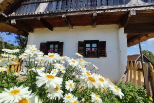 From Budapest: Full or Half Day Danube Bend Cruises