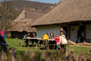 From Budapest: Full or Half Day Danube Bend Cruises