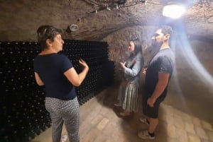 From Budapest: Guided Tour of Eger with Wine Tasting