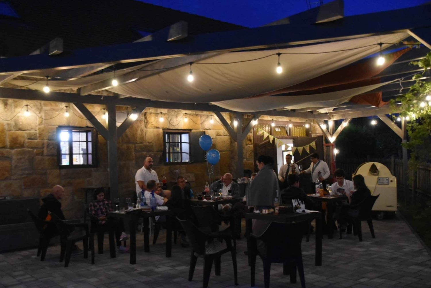 Vanuit Boedapest: Halfdaagse Monor wijntour met maaltijd