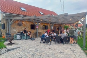 Vanuit Boedapest: Halfdaagse Monor wijntour met maaltijd