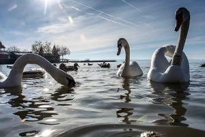 From Budapest: Lake Balaton Day Tour