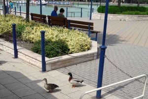 From Budapest: Lake Balaton Tour