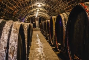 From Budapest: Mátra Hills Wine Tour