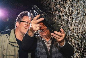 From Budapest: Mátra Hills Wine Tour