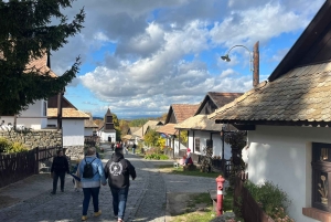 Fra Budapest: Privat slot- og vintur i det nordlige Ungarn