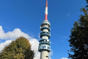 Fra Budapest: Privat slot- og vintur i det nordlige Ungarn